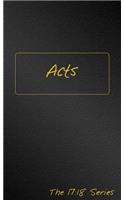 Acts -- Journible The 17:18 Series