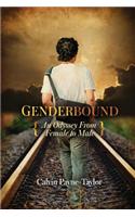 Genderbound-An Odyssey from Female to Male