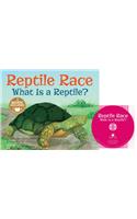 Reptile Race