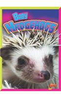 Baby Hedgehogs