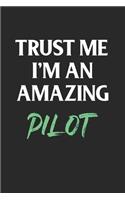 Trust Me I'm An Amazing Pilot