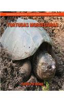 Tortugas mordedoras