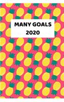 Many Goals 2020