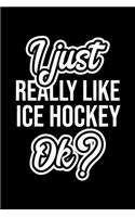 I Just Really Like Ice Hockey Ok?