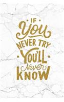 If You Never Try You'll Never Know