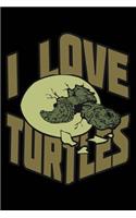 I Love Turtles