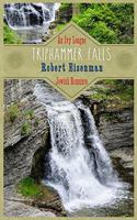 Triphammer Falls: An Ivy League Romance(1 Triphammer Falls)