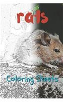 Rat Coloring Sheets
