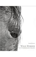 Wild Horses of Cumberland Island