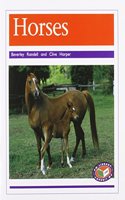 PM Non Fiction Animal Facts Level 20&21 Farm Animals Mixed Pack X6 Purple