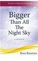 Bigger Than All The Night Sky