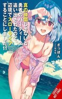 Banished from the Hero's Party, I Decided to Live a Quiet Life in the Countryside, Vol. 11 (light novel)