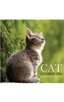 Cat Calendar 2018: 16 Month Calendar