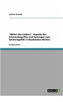 "bl?ten Des Leidens." Aspekte Des Schmerzbegriffes Und Haltungen Zum Schmerzgef?hl in Baudelaires Werken