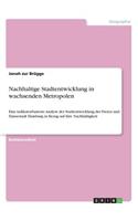 Nachhaltige Stadtentwicklung in wachsenden Metropolen