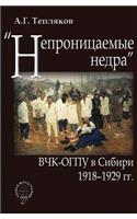 "Непроницаемые недра". ВЧК-ОГПУ в Сибири: 1918-1929 ??.(Russian)