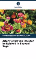 Artenvielfalt von Insekten im Reisfeld in Bhavani Sagar