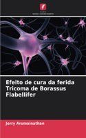 Efeito de cura da ferida Tricoma de Borassus Flabellifer
