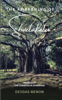 Awakening of Shvetaketu