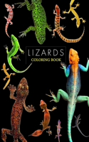 Lizards coloring book