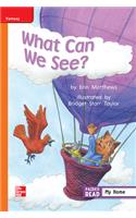 Reading Wonders Leveled Reader What Can We See?: Approaching Unit 1 Week 2 Grade 1