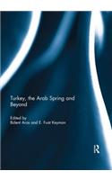 Turkey, the Arab Spring and Beyond