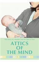 Attics of the Mind: The Story of a Mother and Her Special Son