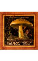 Tedric the House Mouse