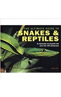 The Ultimate Guide to Snakes & Reptiles - (465 Photographs)