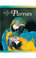 A Rainbow of Parrots