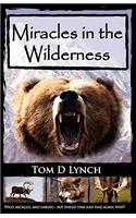 Miracles in the Wilderness