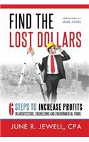 Find the Lost Dollars