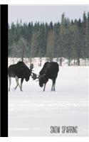 Snow Sparring