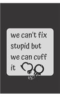 we can't fix stupid but we can cuff it