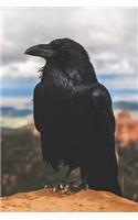 The Call of the Crow Notebook: For Pagans