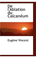 de L'Ablation Du Calcan Um: (English)