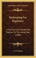 Beekeeping For Beginners