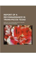 Report of a Reconnaissance in Trans-Pecos Texas; North of the Texas and Pacific Railway