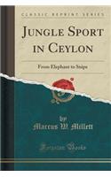 Jungle Sport in Ceylon: From Elephant to Snipe (Classic Reprint)