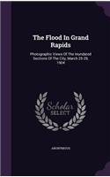 The Flood In Grand Rapids