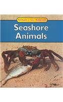 Seashore Animals