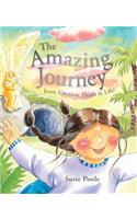 The Amazing Journey