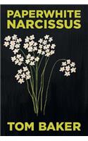 Paperwhite Narcissus