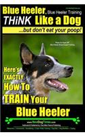 Blue Heeler, Blue Heeler Training, Think Like a Dog, But Don't Eat Your Poop!