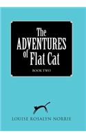 ADVENTURES of Flat Cat