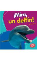 ¡Mira, un delfín! (Look, a Dolphin!): (Bumba Books en español — Veo animales marinos (I See Ocean Animals))