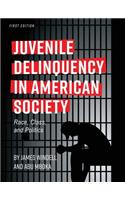 Juvenile Delinquency in American Society