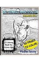 De-Stress and Color Adult Coloring Book