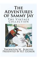 The Adventures of Sammy Jay