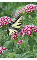 Sweet William Flowers and a Butterfly Summer Garden Journal: 150 Page Lined Notebook/Diary